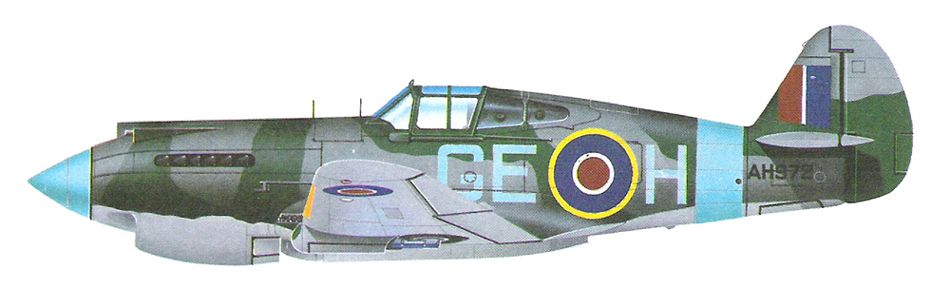Curtiss Tomahawk Mk IIA_5.jpg
