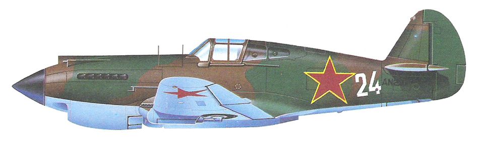 Curtiss Tomahawk Mk IIB_5.jpg