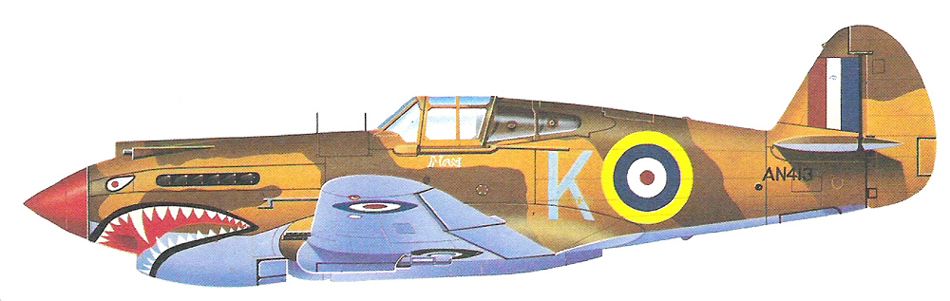 Curtiss Tomahawk Mk IIB_6.jpg