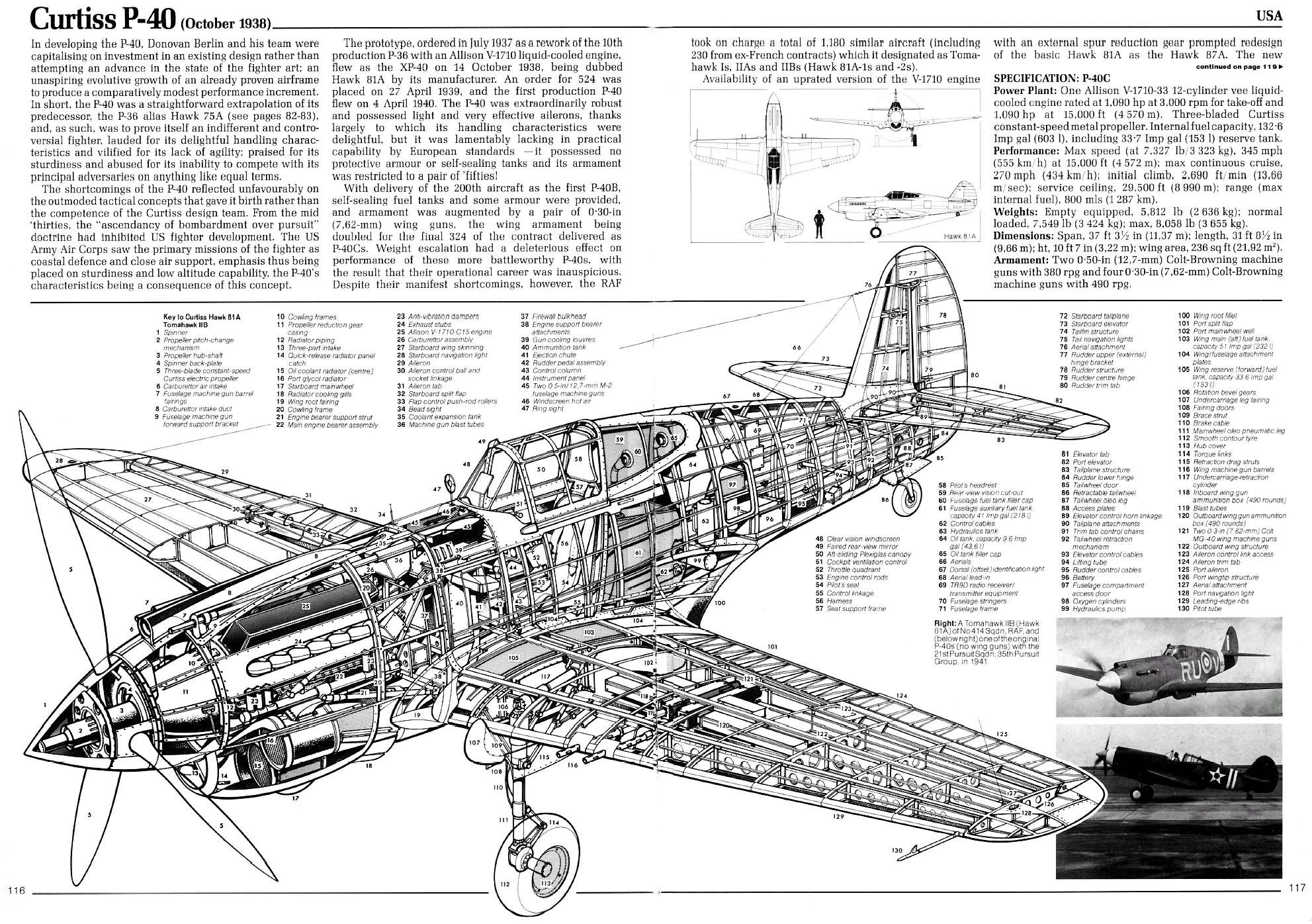 Curtiss_P-40