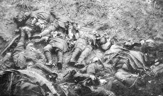 Dead French soldiers in the Argonne.