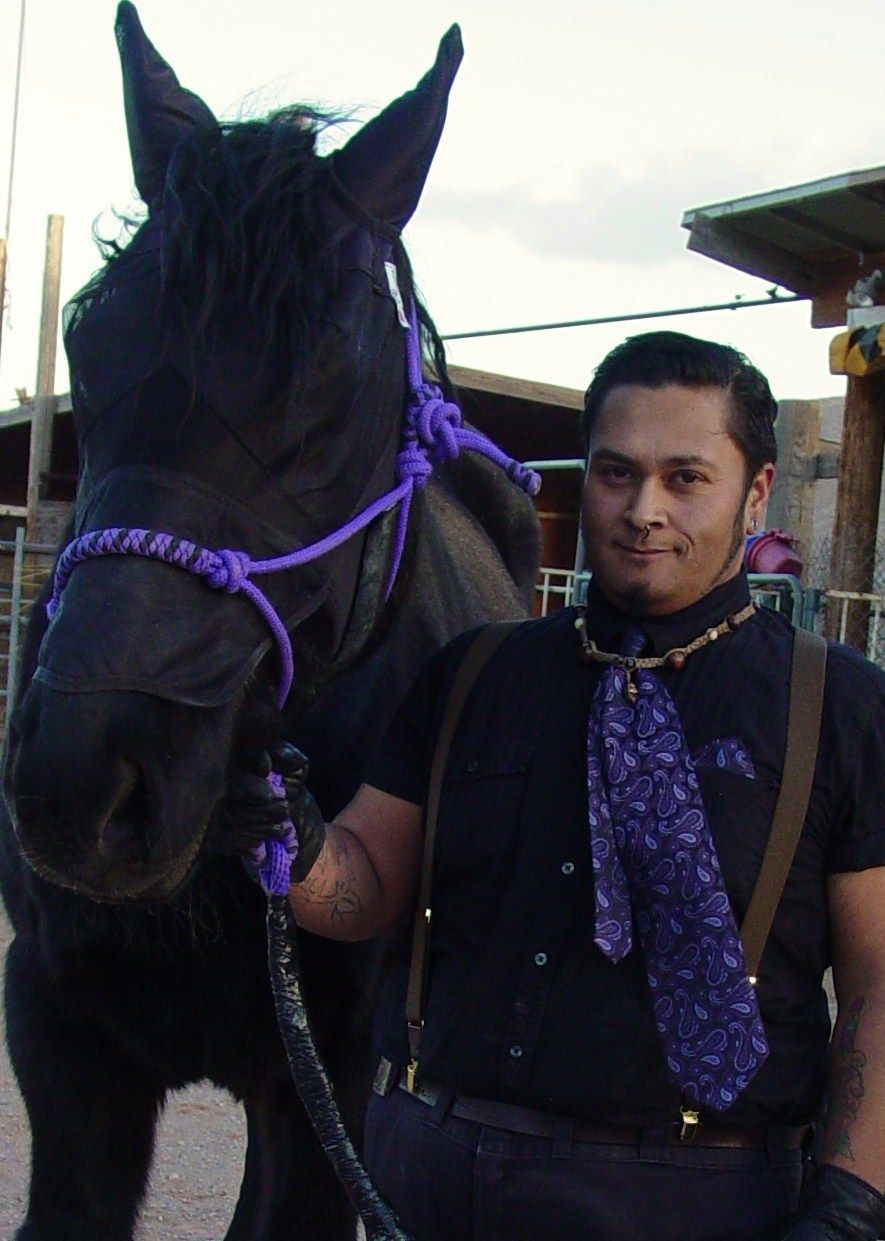 Dressage War Horse ONYX