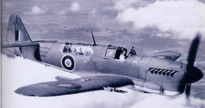 Fairey Firefly F.Mk.1
