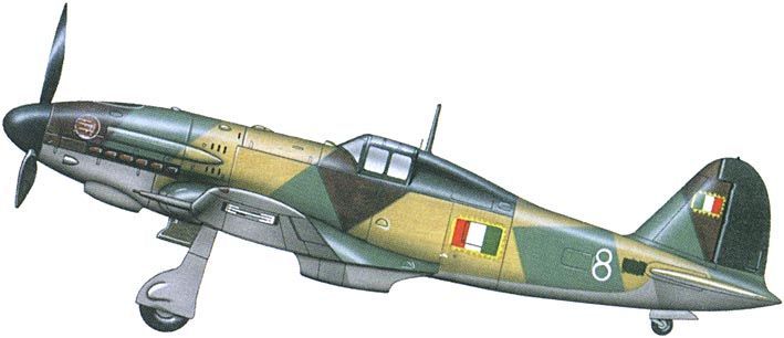 Fiat G.55, 1a Sqadriglia, IIo gruppo ANR, May 1944 (Experimental Segmental