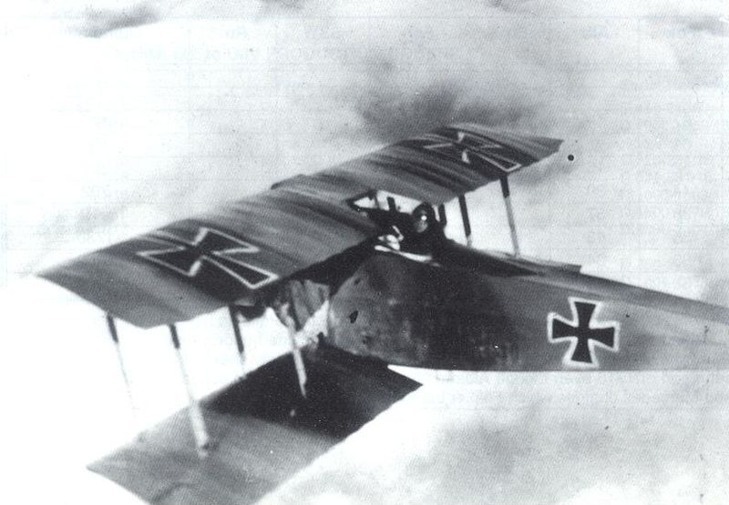 Fokker D.II in flight  (3)