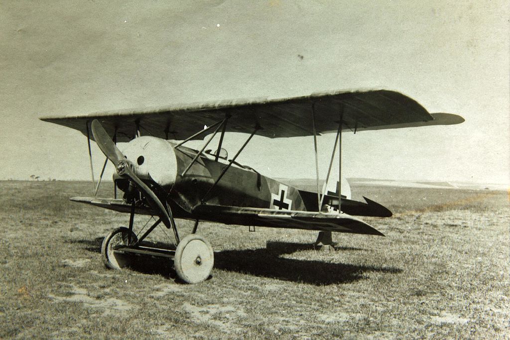 Fokker D.VI