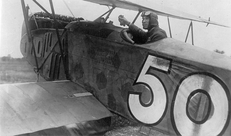 Fokker D.VII,  captured,  Col. Billy Barker,  Canada 1919 (2)