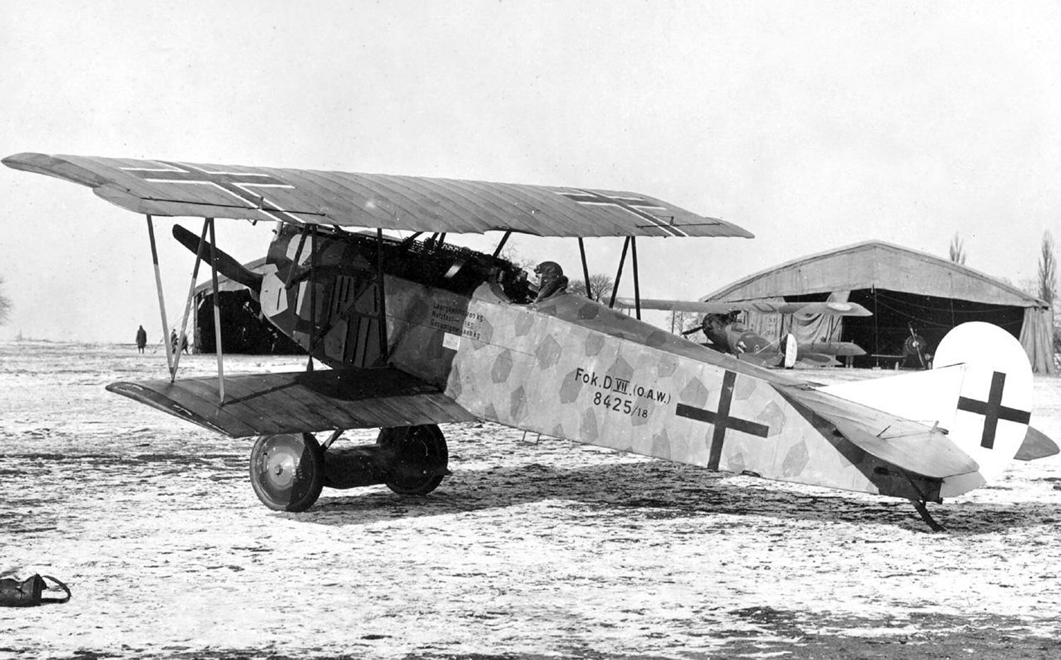 Fokker D.VII no. 8425/18, OAW