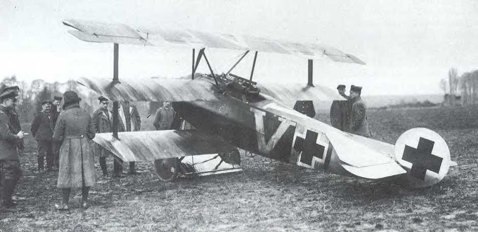 Fokker Dr.I 195/17