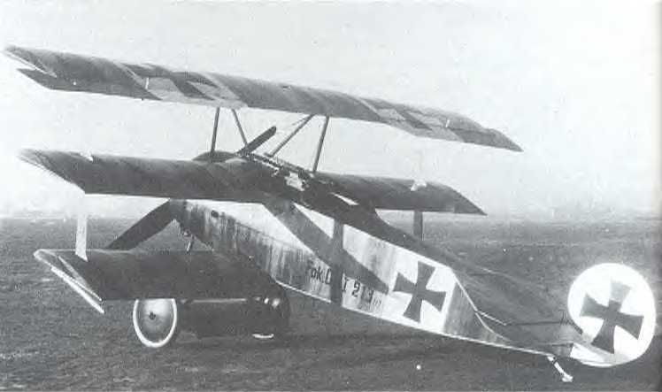 Fokker Dr.I 213/17,  Friedrich Kempf (1)