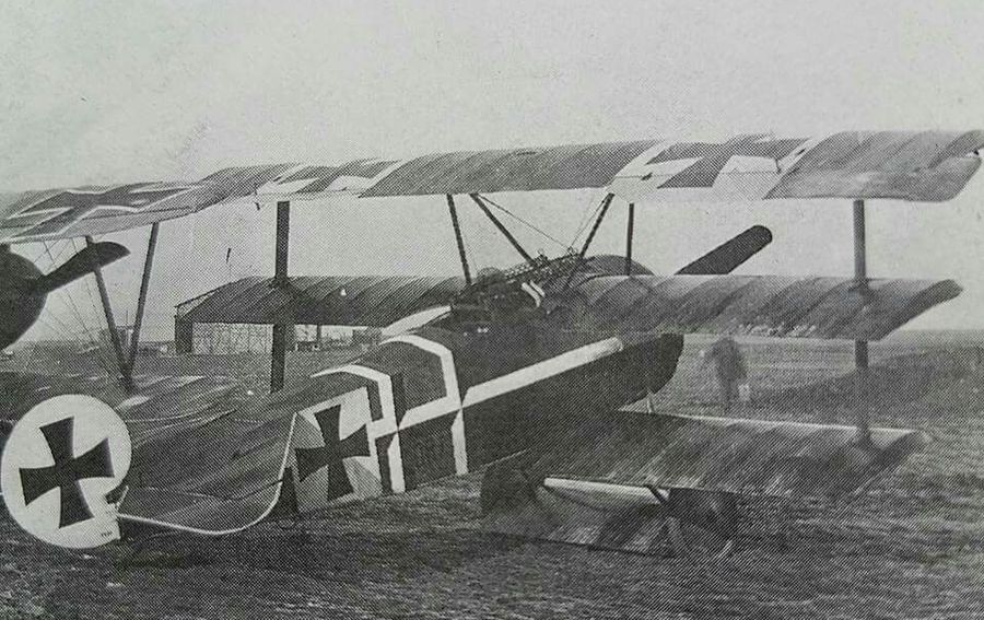 Fokker Dr.I of Jasta 14