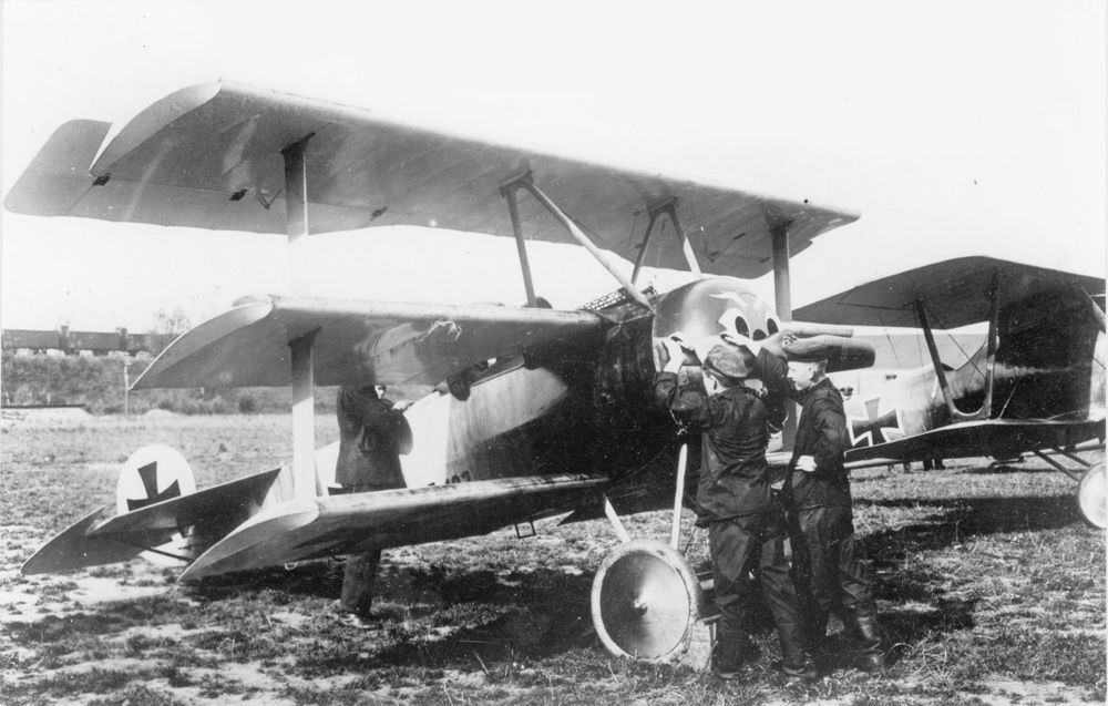 Fokker  F1.103/17, Werner Voss (5)