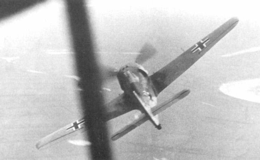 Fw-190 in flight II