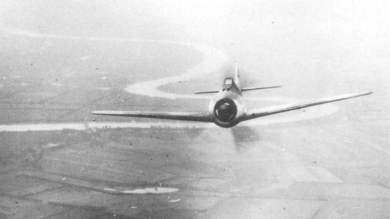 Fw-190 in flight