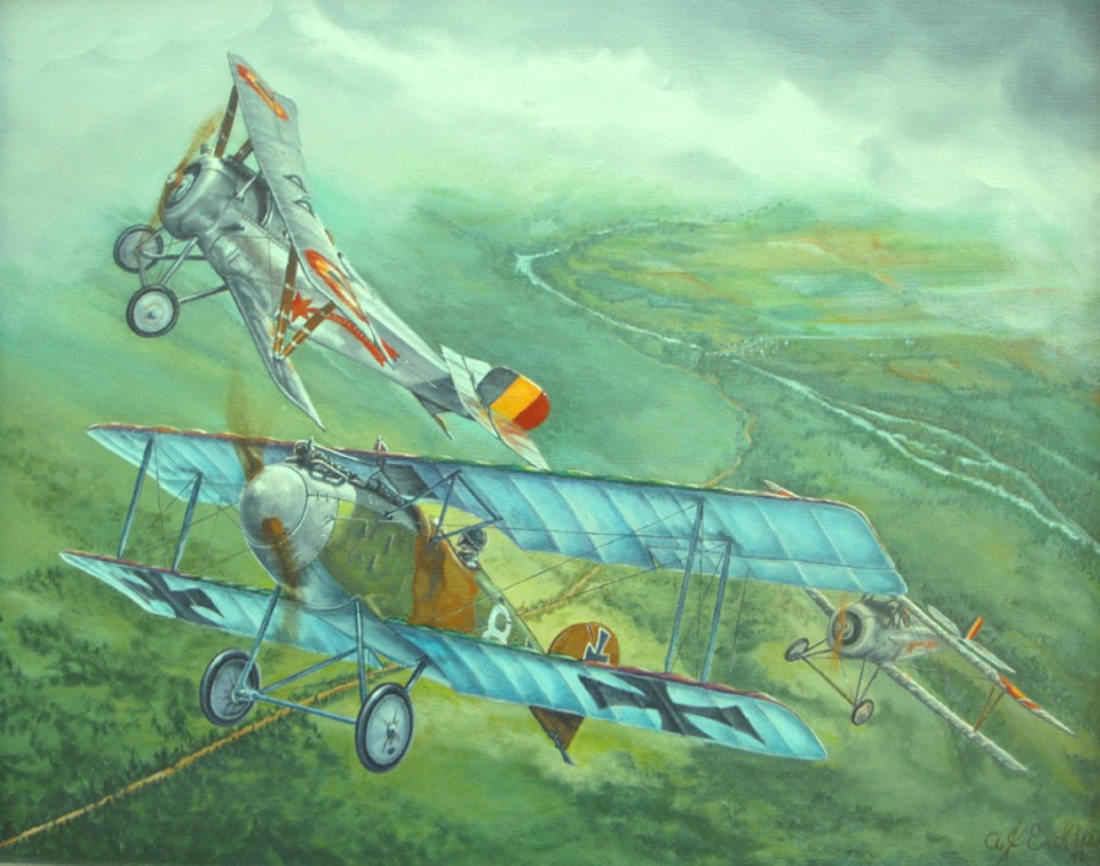 German_Albatros_D-II1