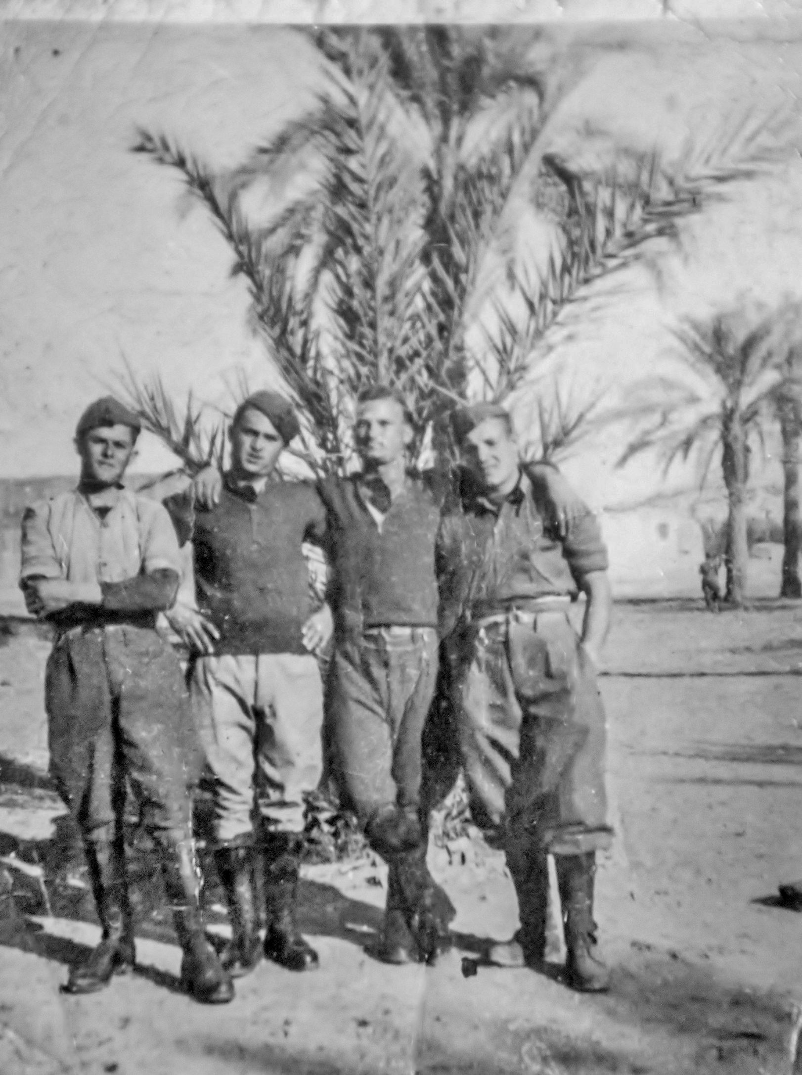 Giuseppe Torcasio: WWII North Africa