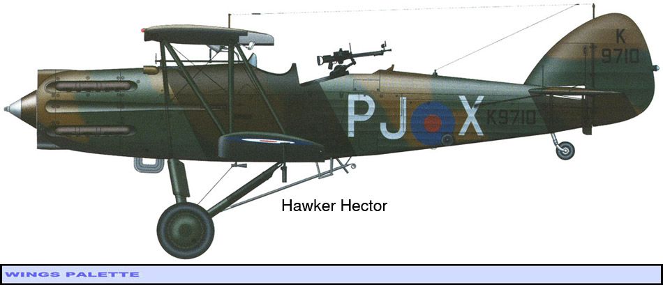 Hawker Hector