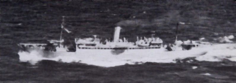 HMS Ariguani