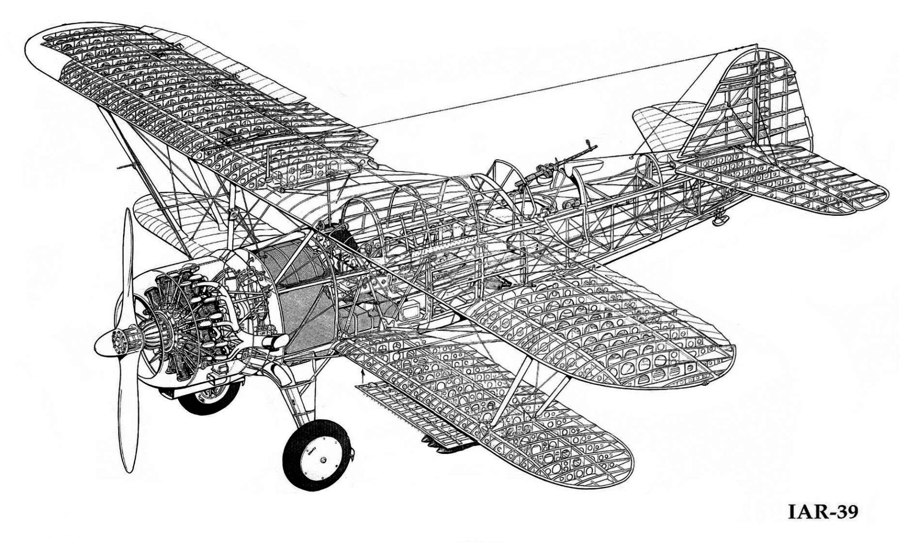 IAR 39