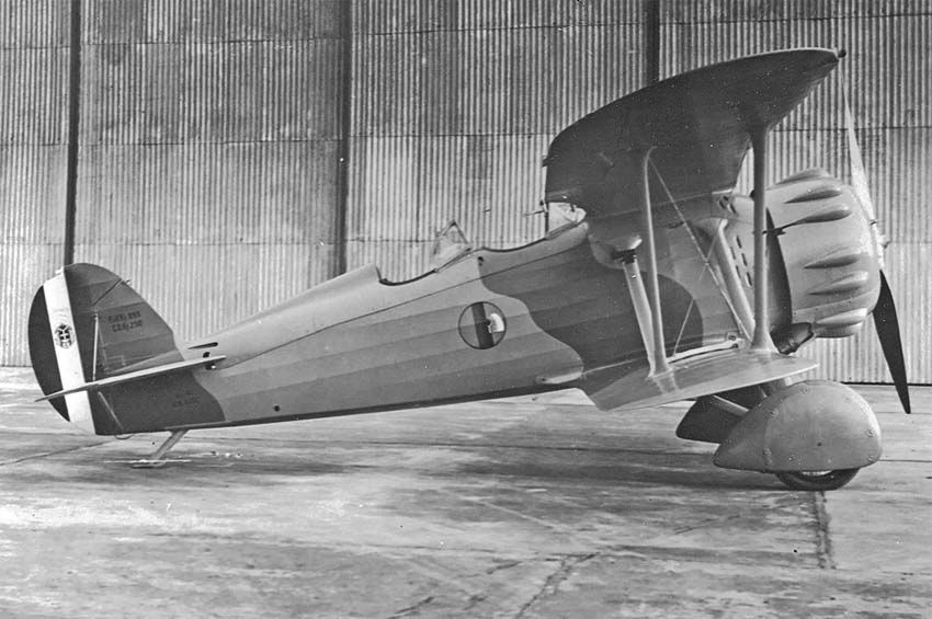 IMAM Romeo Ro.41, a training two-seater version