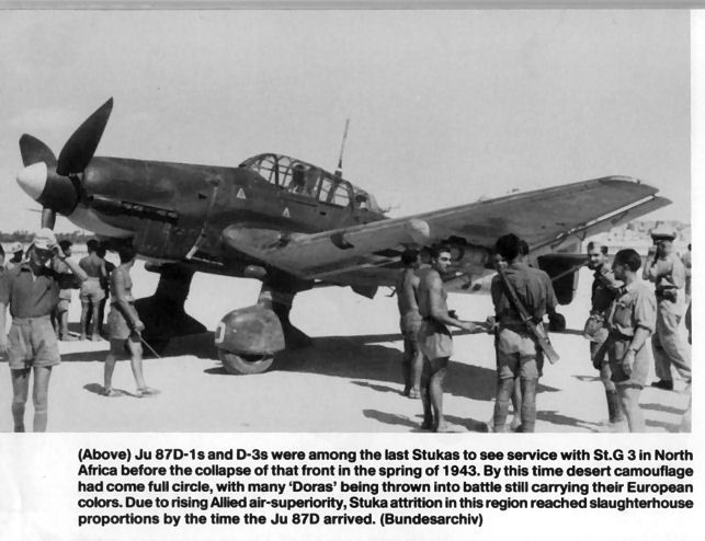 JU87D In Desert