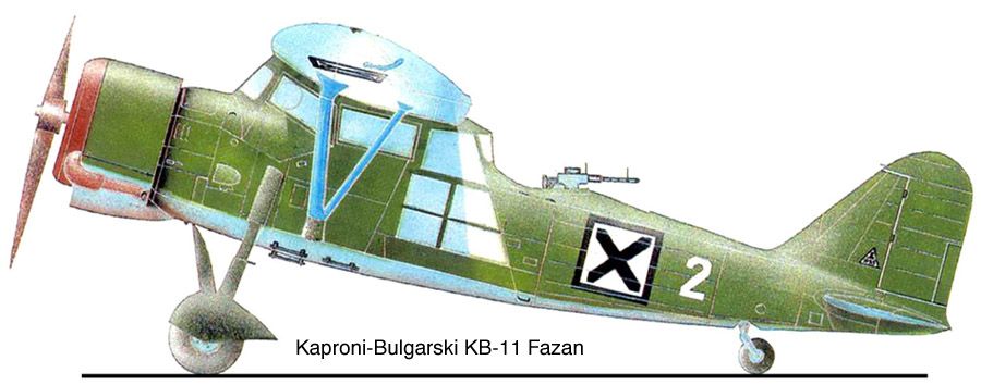 KaproniBulgarski KB11 Fazan Aircraft of World War II WW2Aircraft