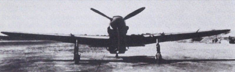 Kawasaki Ki-61 Hien (Swallow)