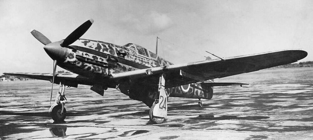 Kawasaki Ki-61-I-Tei Hien, 244 Sentai, Blue 24 (3)