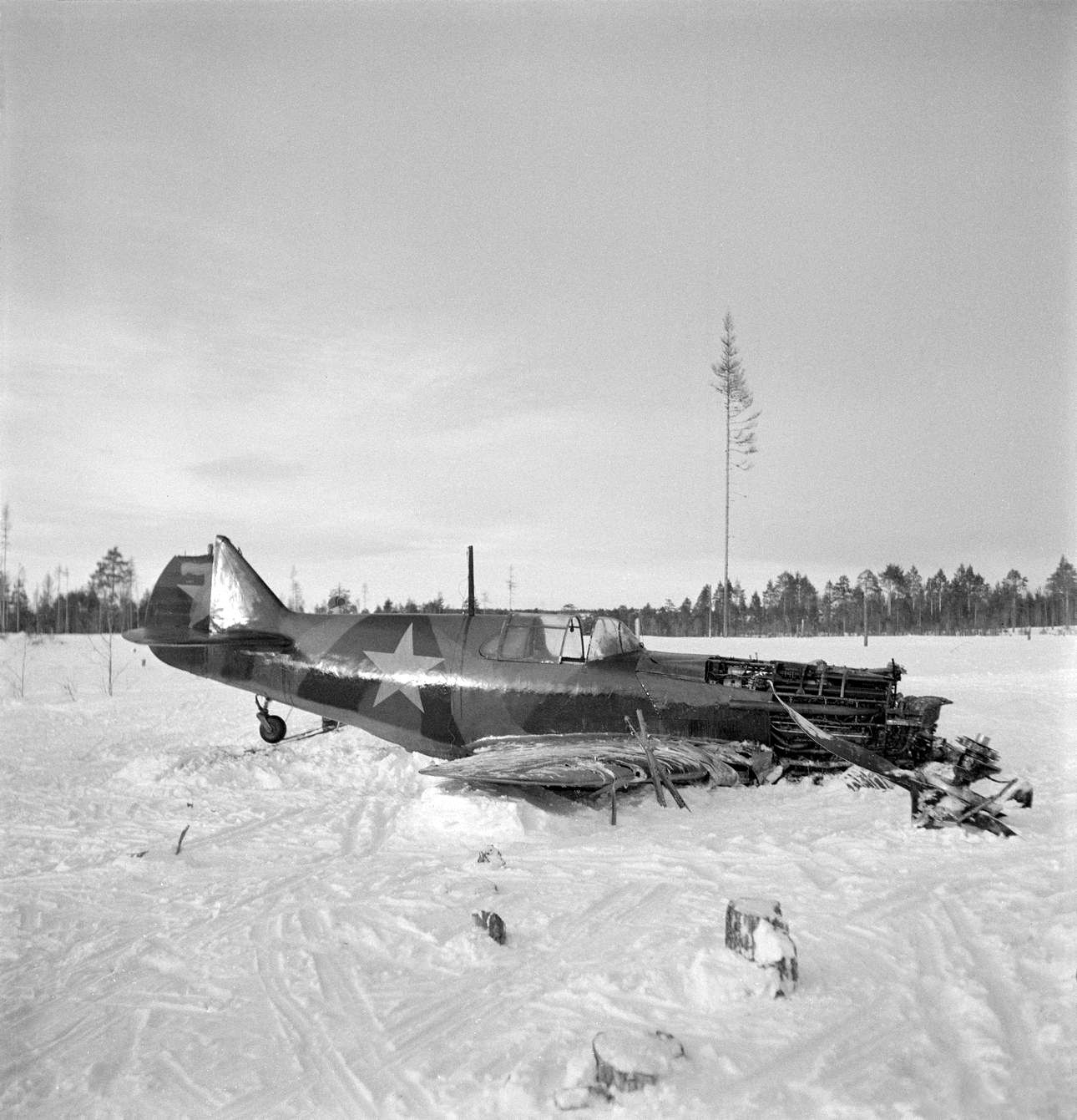 LaGG-3 s/n 070171,  "Silver 71", 524 IAP, 1942 (1)