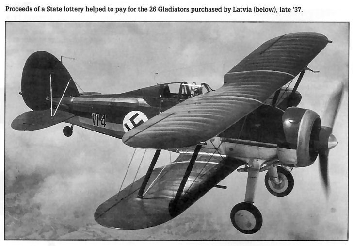Latvian gloster Gladiator.jpg