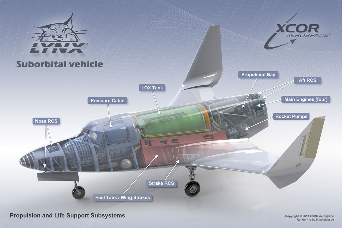 lynx-cutaway_