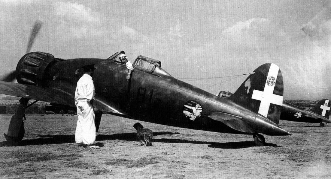 Macchi MC.200 Saetta, 81° Squadriglia, 6° Gruppo, 1° Stormo, no.81-8, Sicily 1940