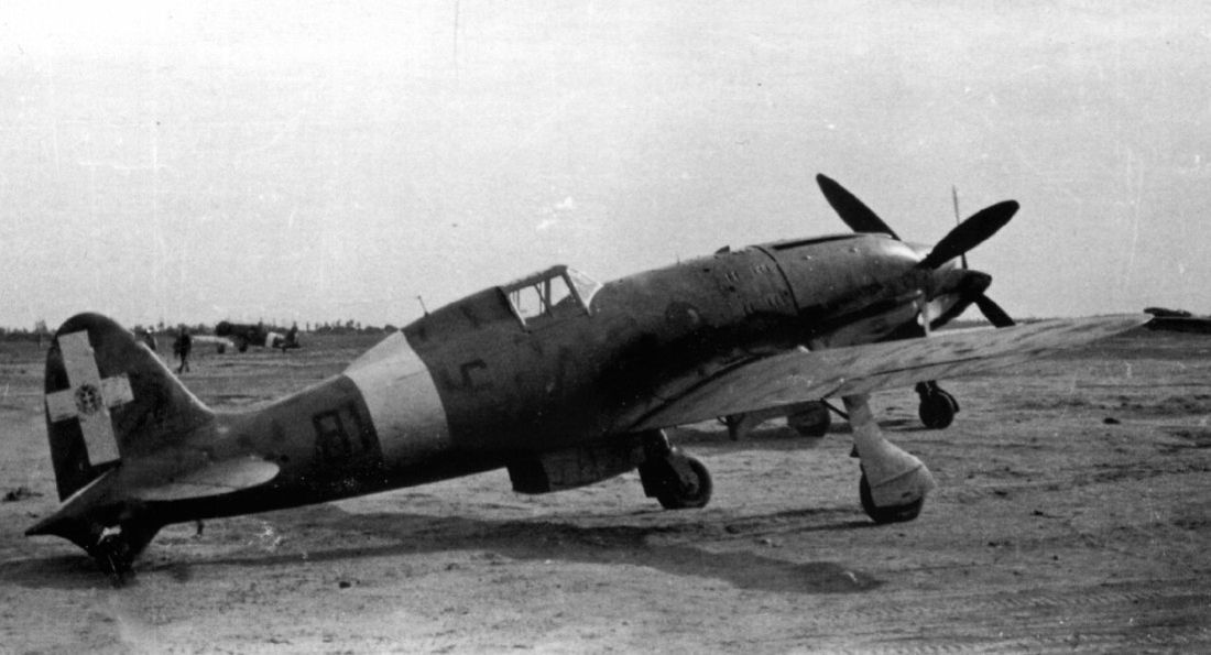 Macchi MC.202 Folgore, 1° Stormo, 81° Squadriglia, no.81-6