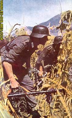 MG-34 in a russian field.