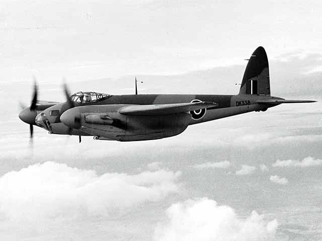 Mosquito in flight.