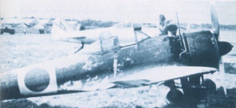 Nakajima Ki-43-1b Hayabusa (Peregrine Falcon)