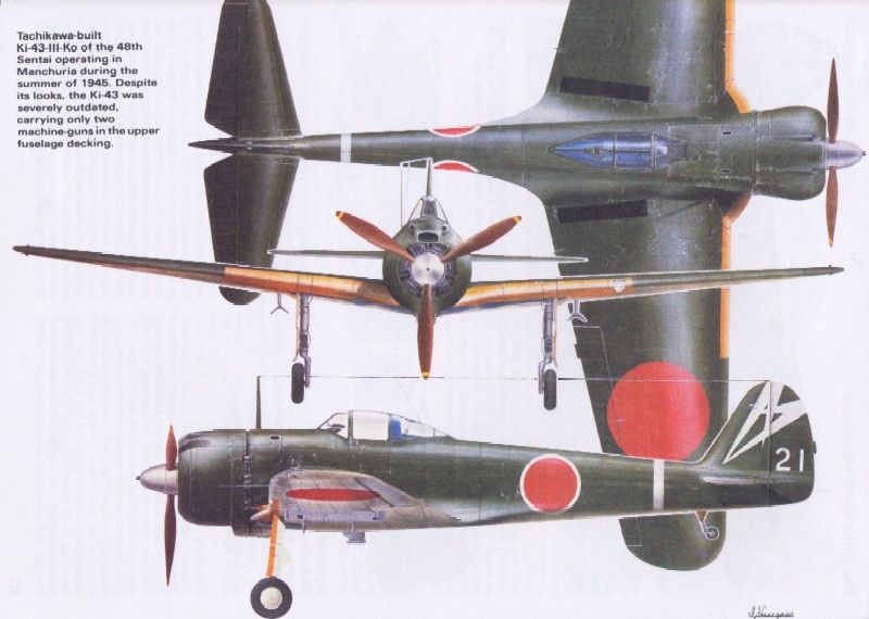 Nakajima Ki-43-III hayabusa (Peregrine Falcon)