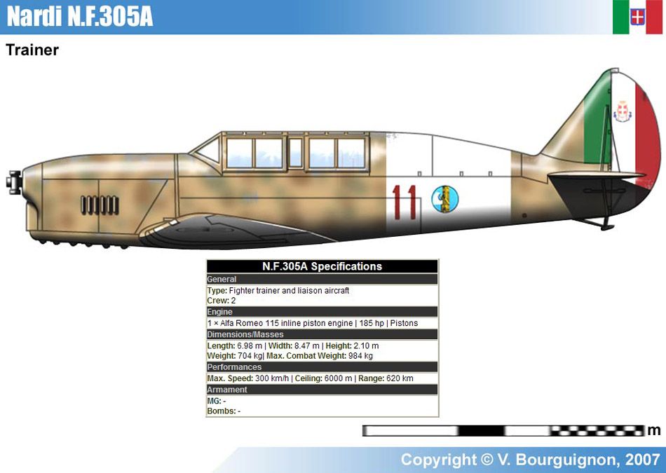 Nardi FN.305