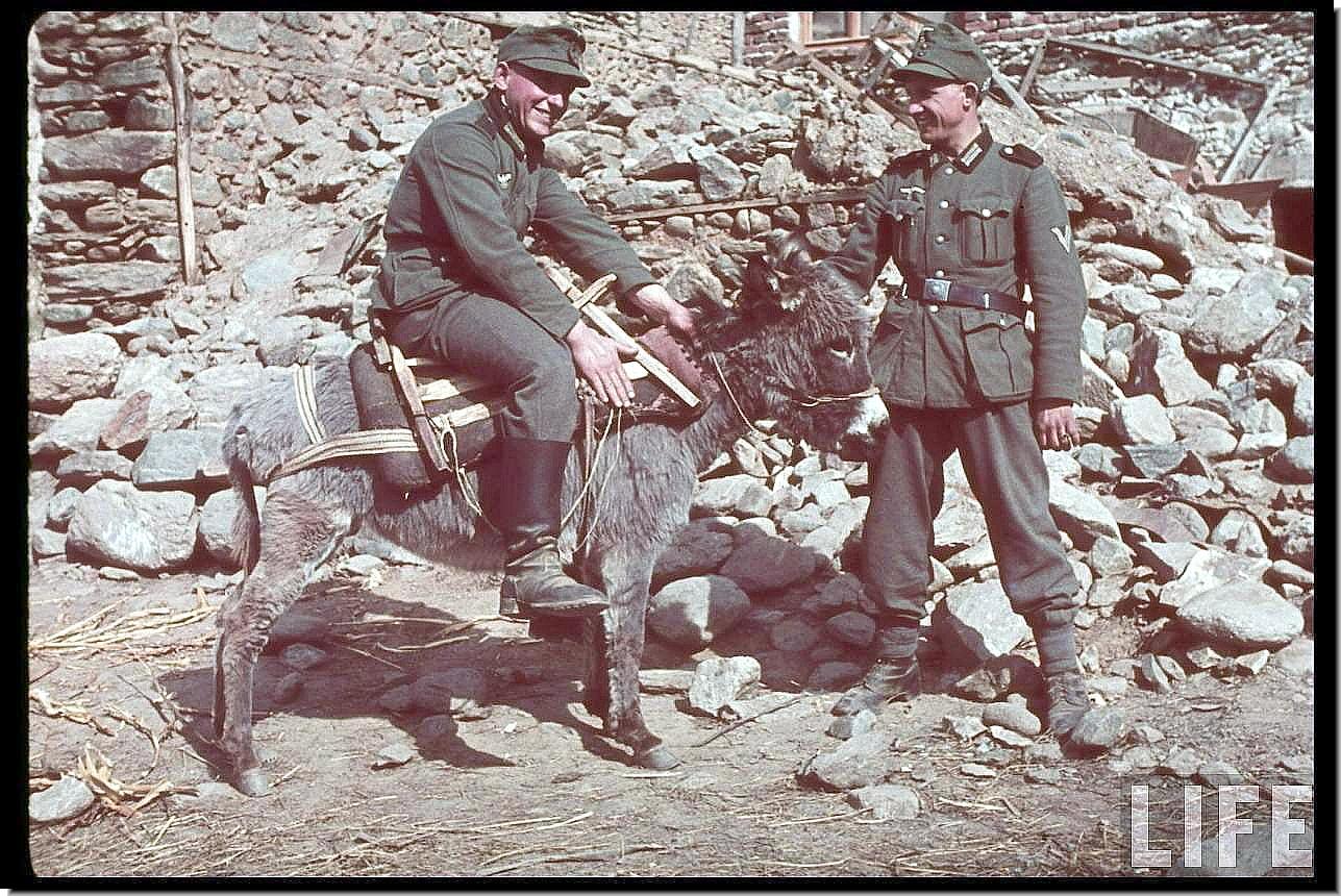 nazi-germany-rare-color-colour-photographs-pictures-images-ww2--018