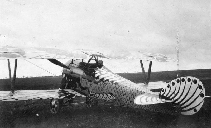 Nieuport 24C1 (3)