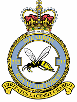 No. 213 Squadron RAF Crest