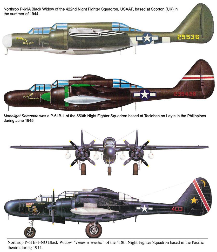 Northrop P-61 Black Widow | Aircraft of World War II - WW2Aircraft.net ...