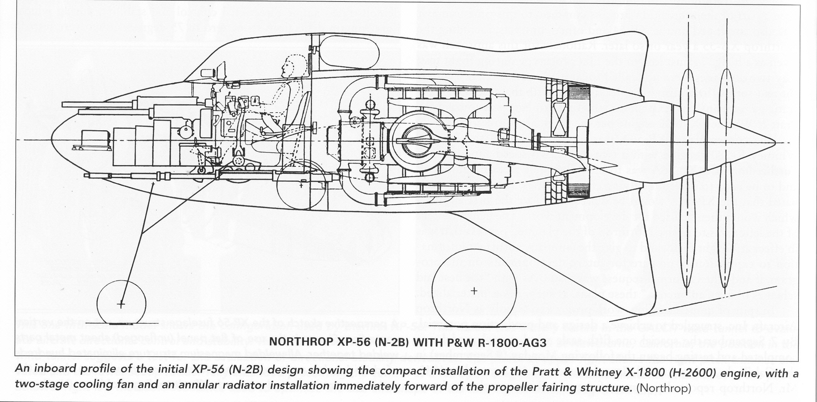Northrop_Xp-56 | Aircraft of World War II - WW2Aircraft.net Forums