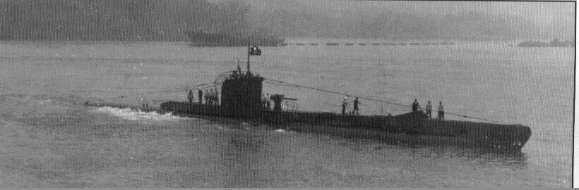 ORP Dzik