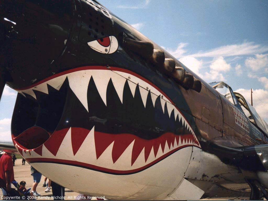 P-40 TigerTeeth 1024 x 768