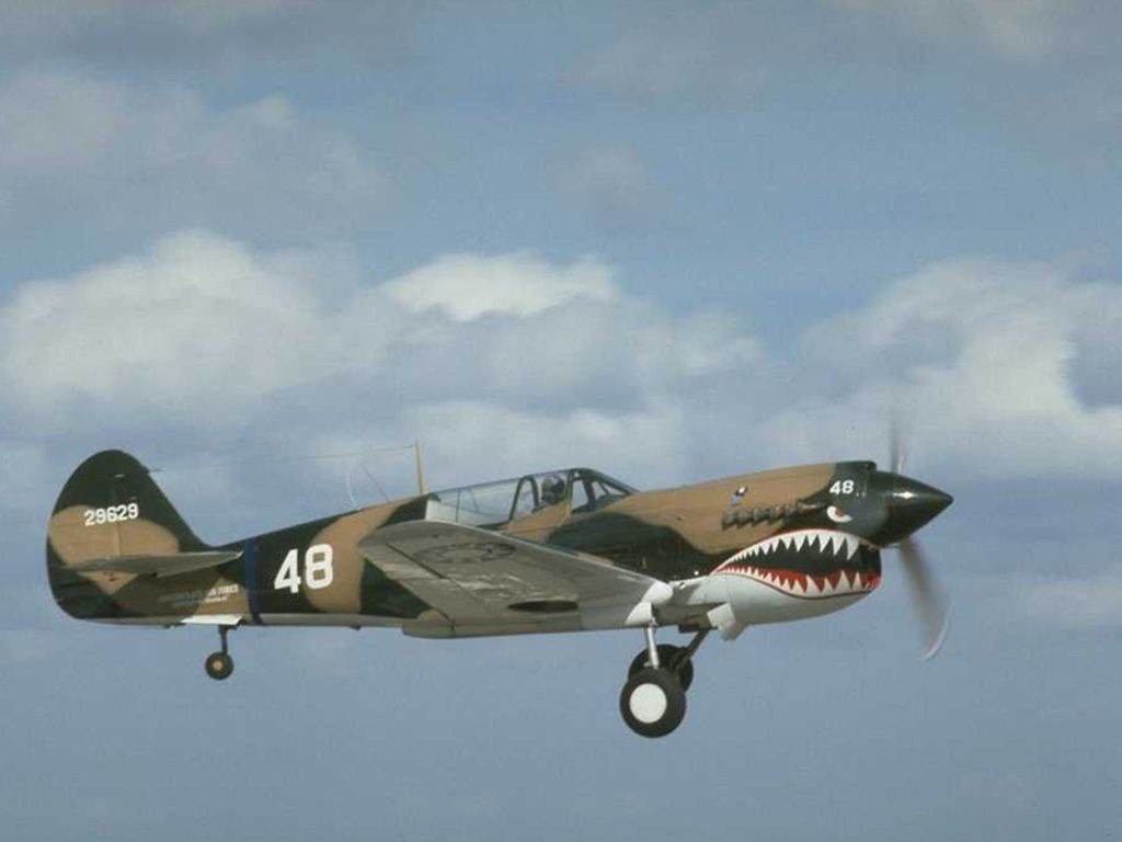 P-40 Warhawk  1024 x 768