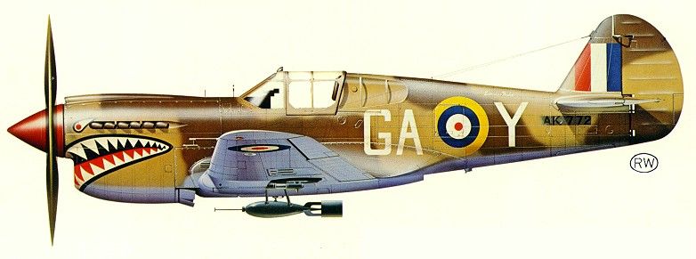 P-40 Warhawk | Aircraft of World War II - WW2Aircraft.net Forums
