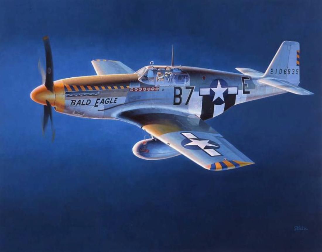 P-51 close up, unknown artist, can anyone help by naming the artist? Large!