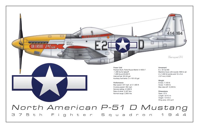 P-51 Detroit Miss