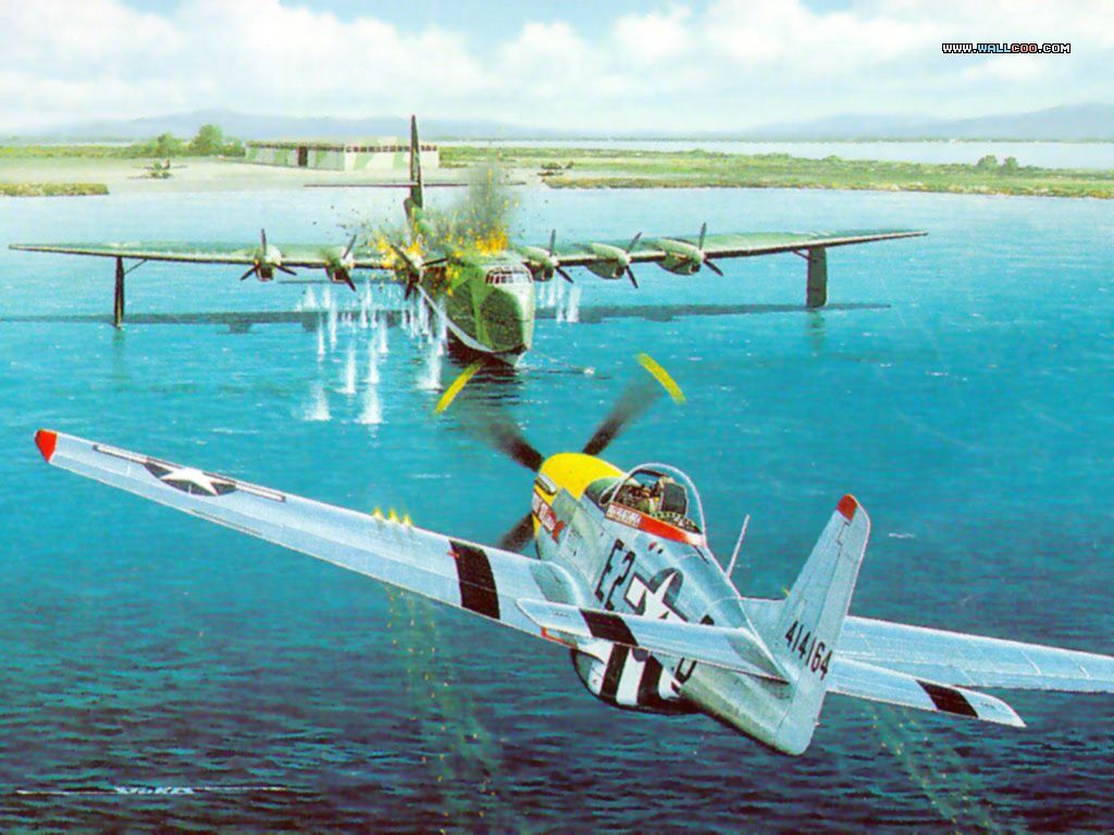 P-51 killing a Bv-238V1 i think... 1024x768